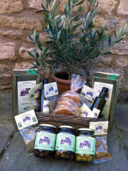 Small Selection of The Blessed Olive Products (Olive Oil-Herbs-Olives-Dakos)